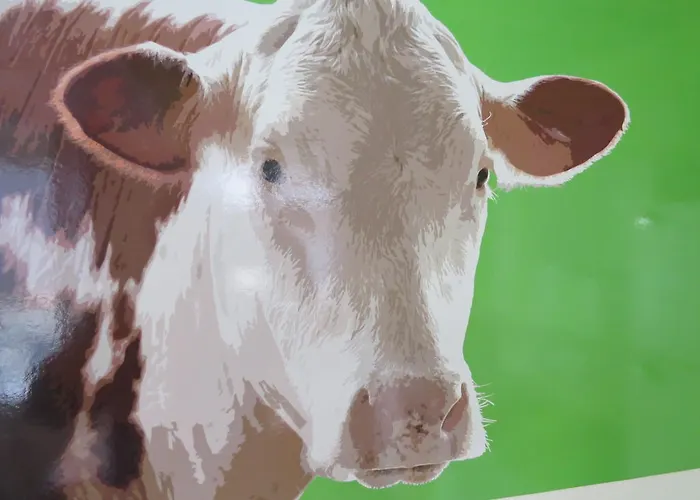 Apartmán Le Notre Dame Honfleur